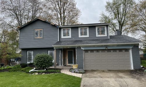 Exterior Siding Painting (Before)