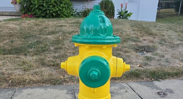 yellow and green painted fire hydrant on sidewalk