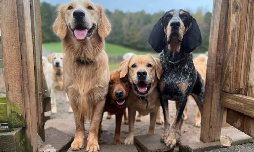 Family Pic