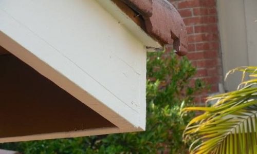 Fascia Painting