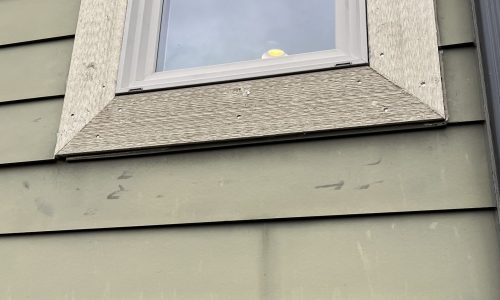 Wood Repair