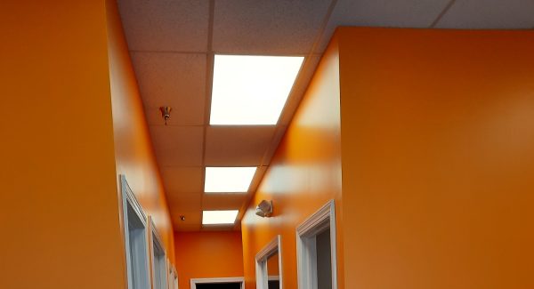 Commercial Interior | Office Space