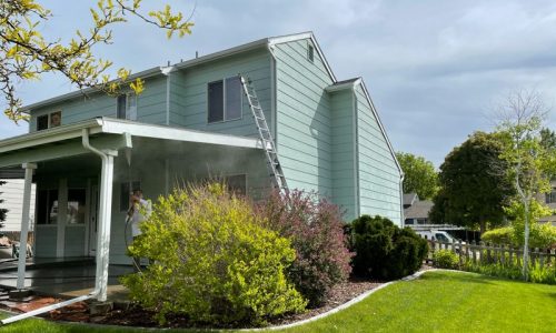 Failing Siding