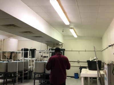 commercial college painters