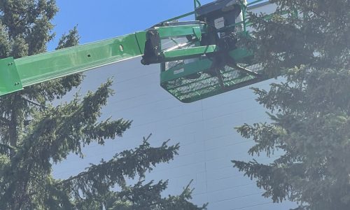 Exterior Painting - In Progress