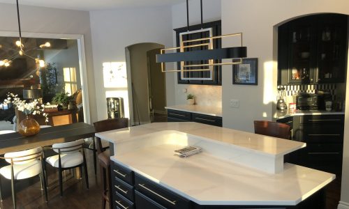 Contemporary style kitchen