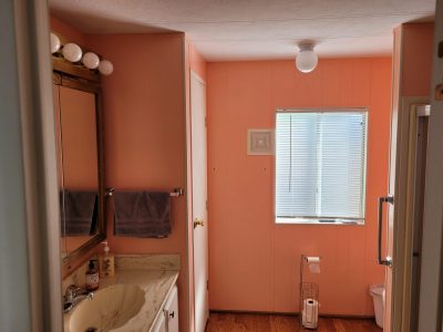 bathroom interior walls painted coral color