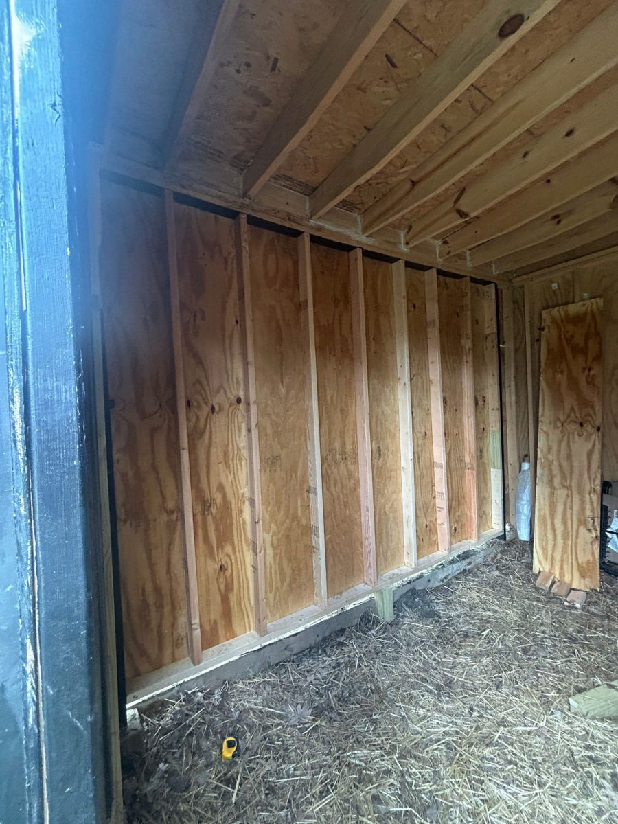 wooden shed with side wall installed Preview Image 1