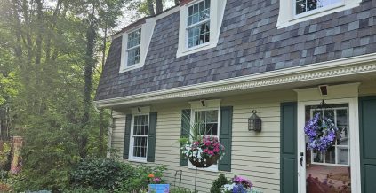 Exterior House Painting