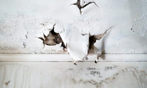 wall with tears and damage