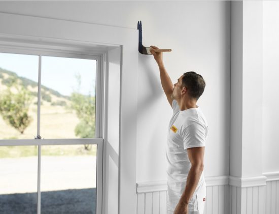 professional house painting services