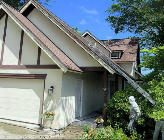 Exterior Painting