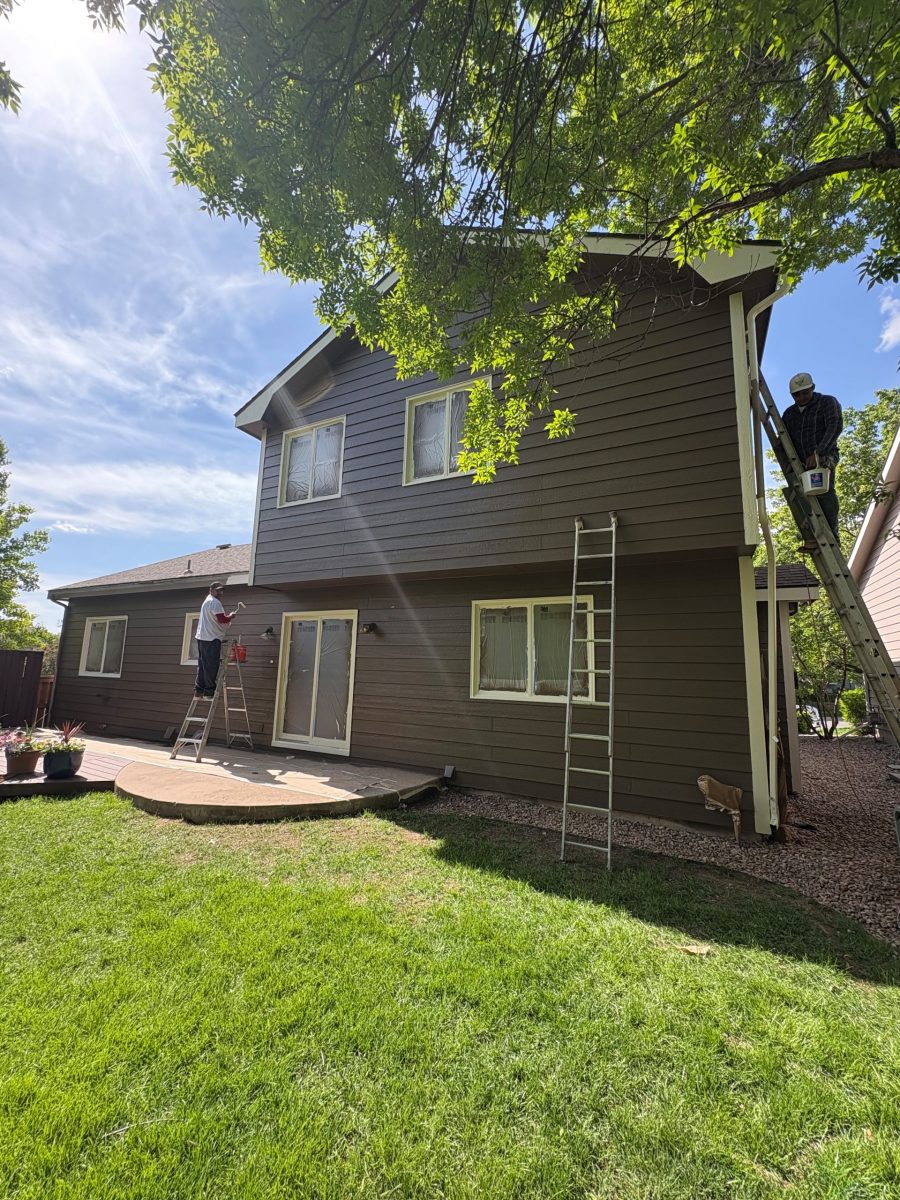 painted back of house Preview Image 3