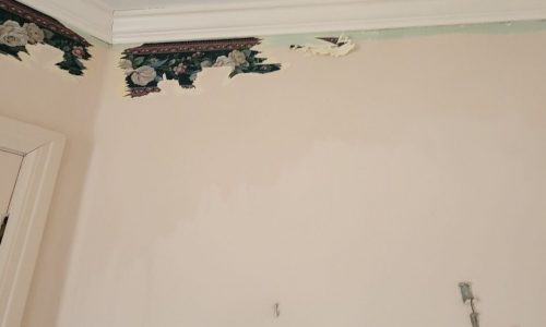 Wallpaper Removal Case Study During Photo
