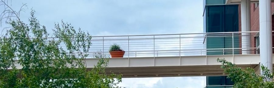 potted plant on a pedestrian bridge connecting two buildings Preview Image 8