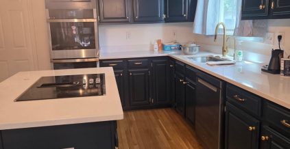 Cabinet Painting Project