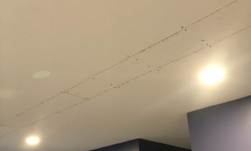 Drywall Repair Project