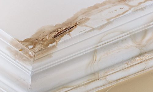 Water Damage