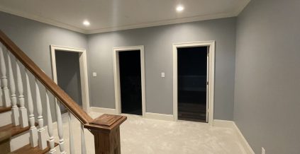 Basement Walls & Trim Painted