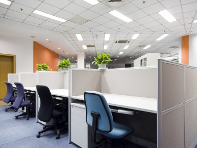 Office Interior Painting