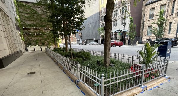 Gated Garden in Downtown Chicago