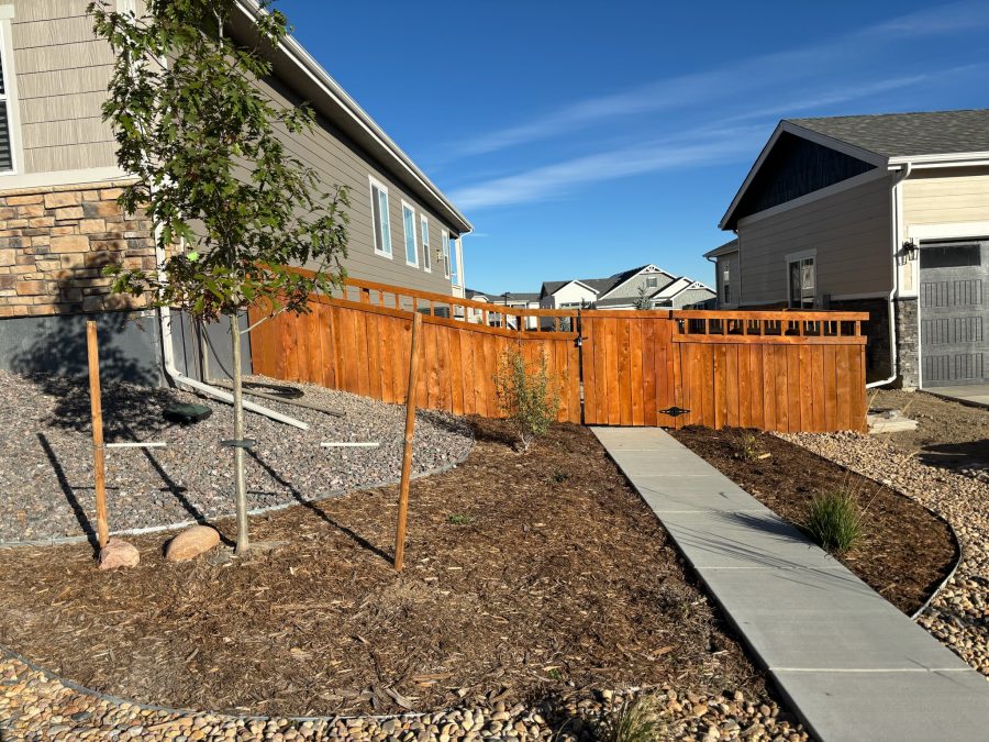  Preview Image 1