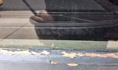 Hail Damage