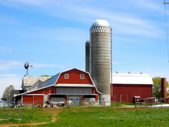 Honey Brook Farm