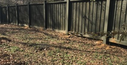 Park Fence Album