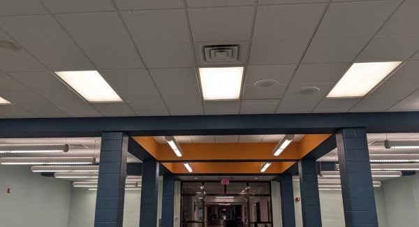 repainted library interior