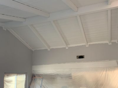 ceiling painting in San Diego, California