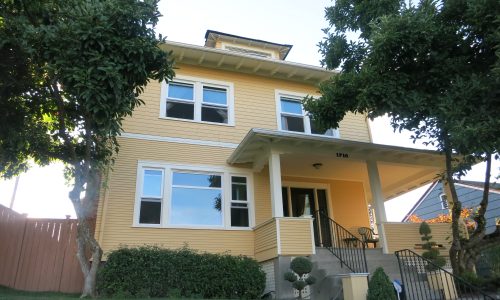Yellow Siding Painting