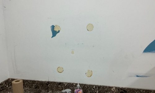 Interior Bathroom Walls