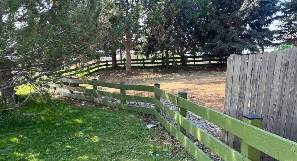 green painted fence
