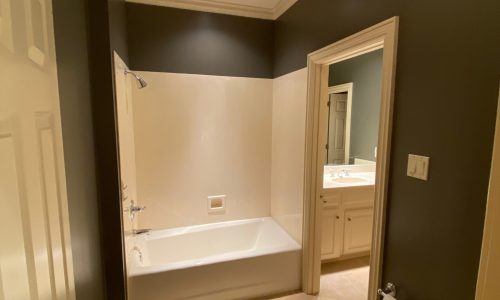 Bathroom Painting