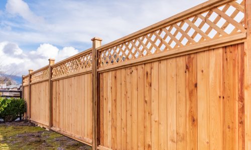 fence
