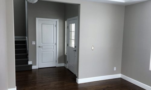 Interior Painting Project