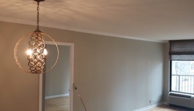 painting contractors oak park il