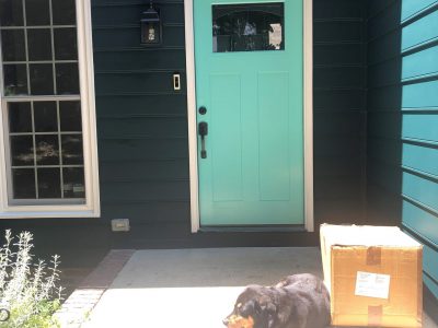 exterior painting for front doors