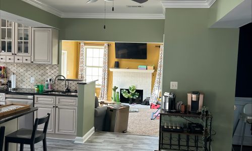 Open Concept Kitchen Interior