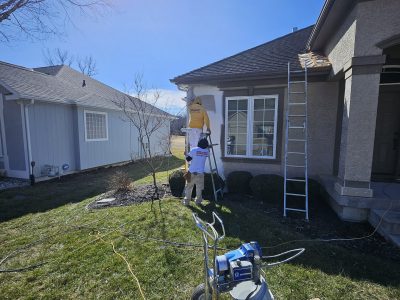 team working on paint proje