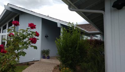 Exterior Painting