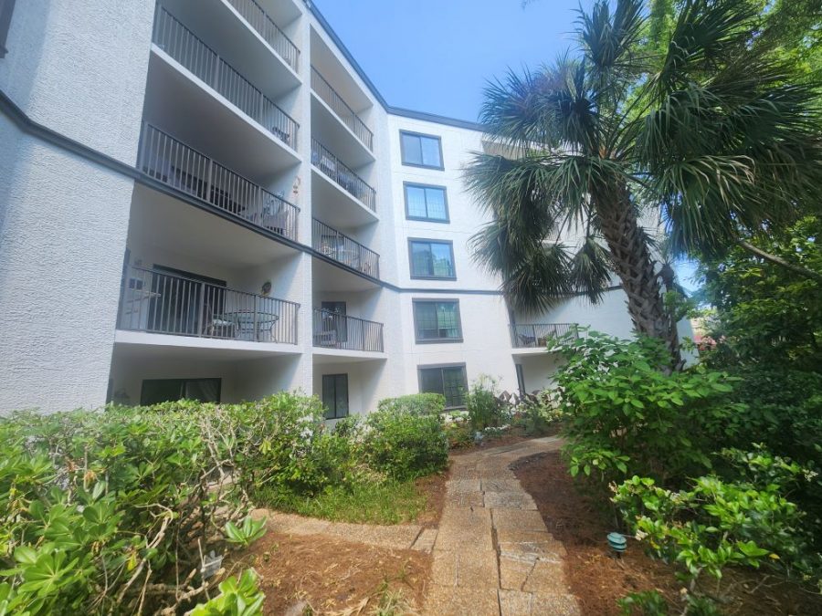  Preview Image 5