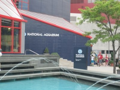 Baltimore National Aquarium painting by CertaPro Painters.