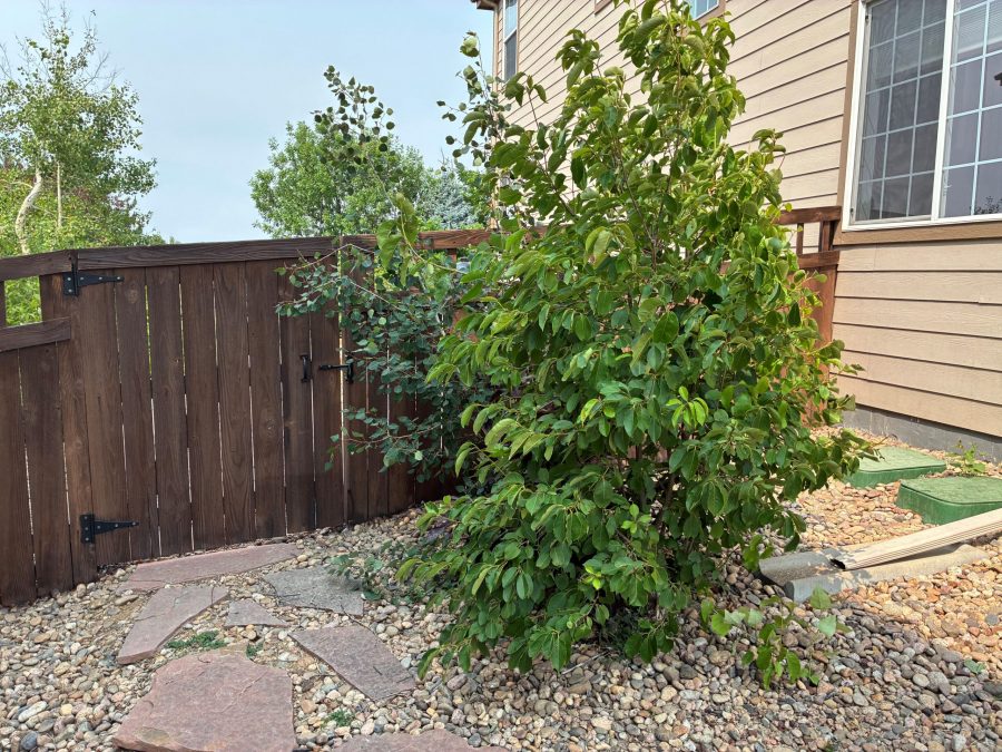 dark stained wooden fence surrounding house Preview Image 3