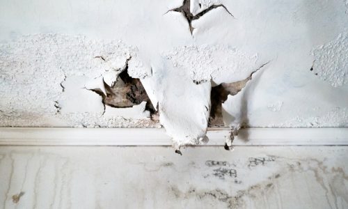 Water damage and moisture