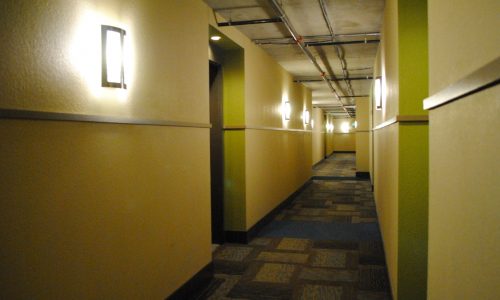 Interior Apartment Painting