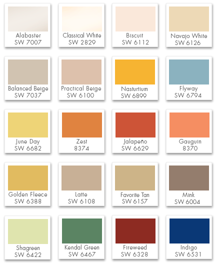 color-palette