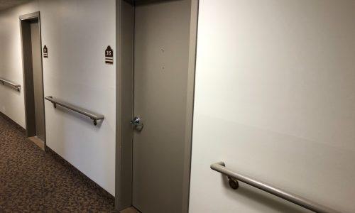 Finished Hall Door and Rail