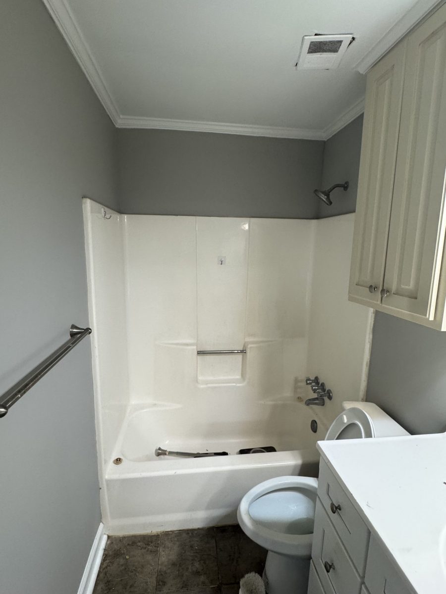 bathroom after repaint Preview Image 8